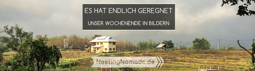 Es hat endlich geregnet – Unser Wochenende in Bildern