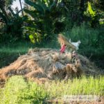 Bullerbü in Thailand - so sollten Kinder toben können