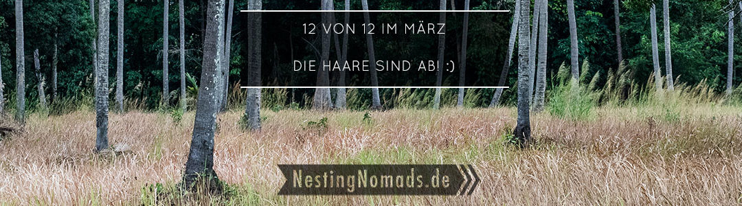 12 von 12 im März die Haare sind ab! Nesting Nomads 12 von 12 im März die Haare sind ab! Nesting Nomads