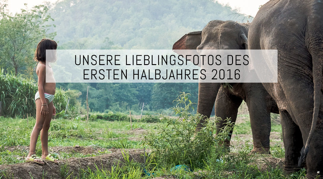 Unsere Lieblingsfotos des ersten Halbjahres 2016