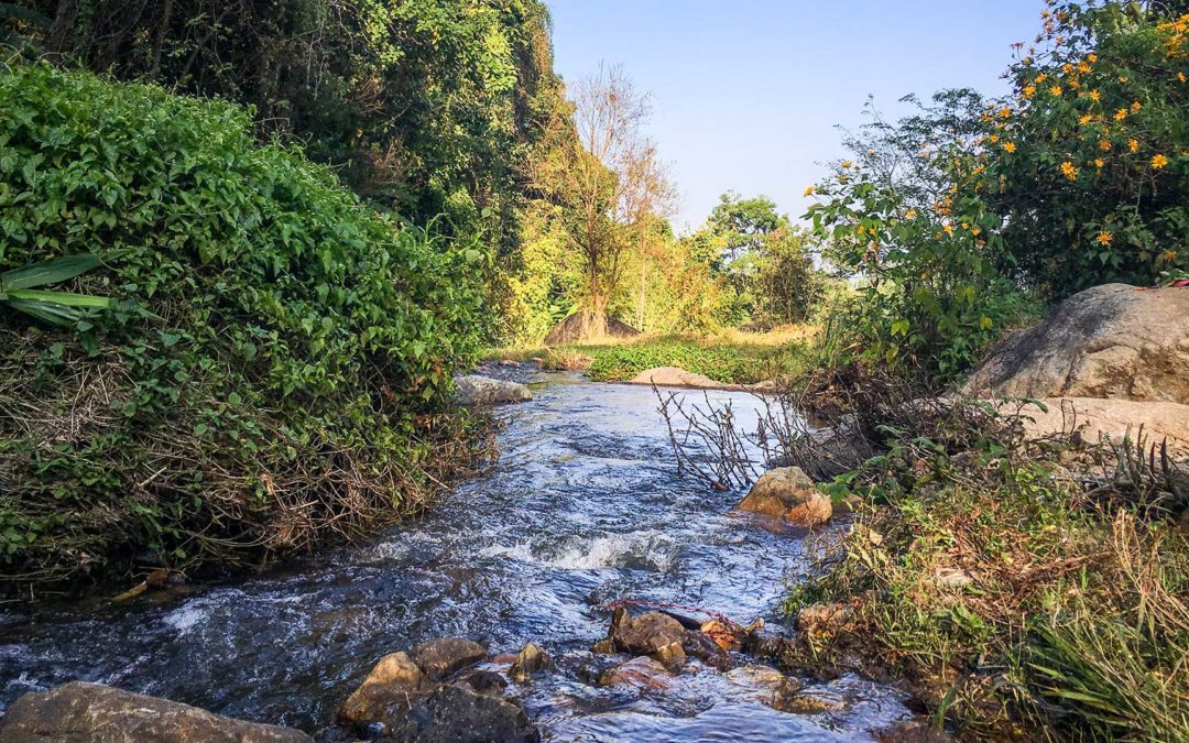 Wir sind wieder in Pai und richten unser Haus ein – Unser Wochenende in Bildern