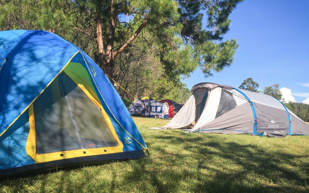 Campingausflug mit mehr als 20 Freunden – Unser Wochenende in Bildern