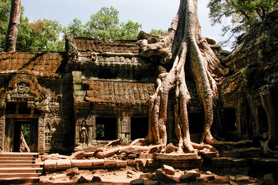 Ta Prohm 2008